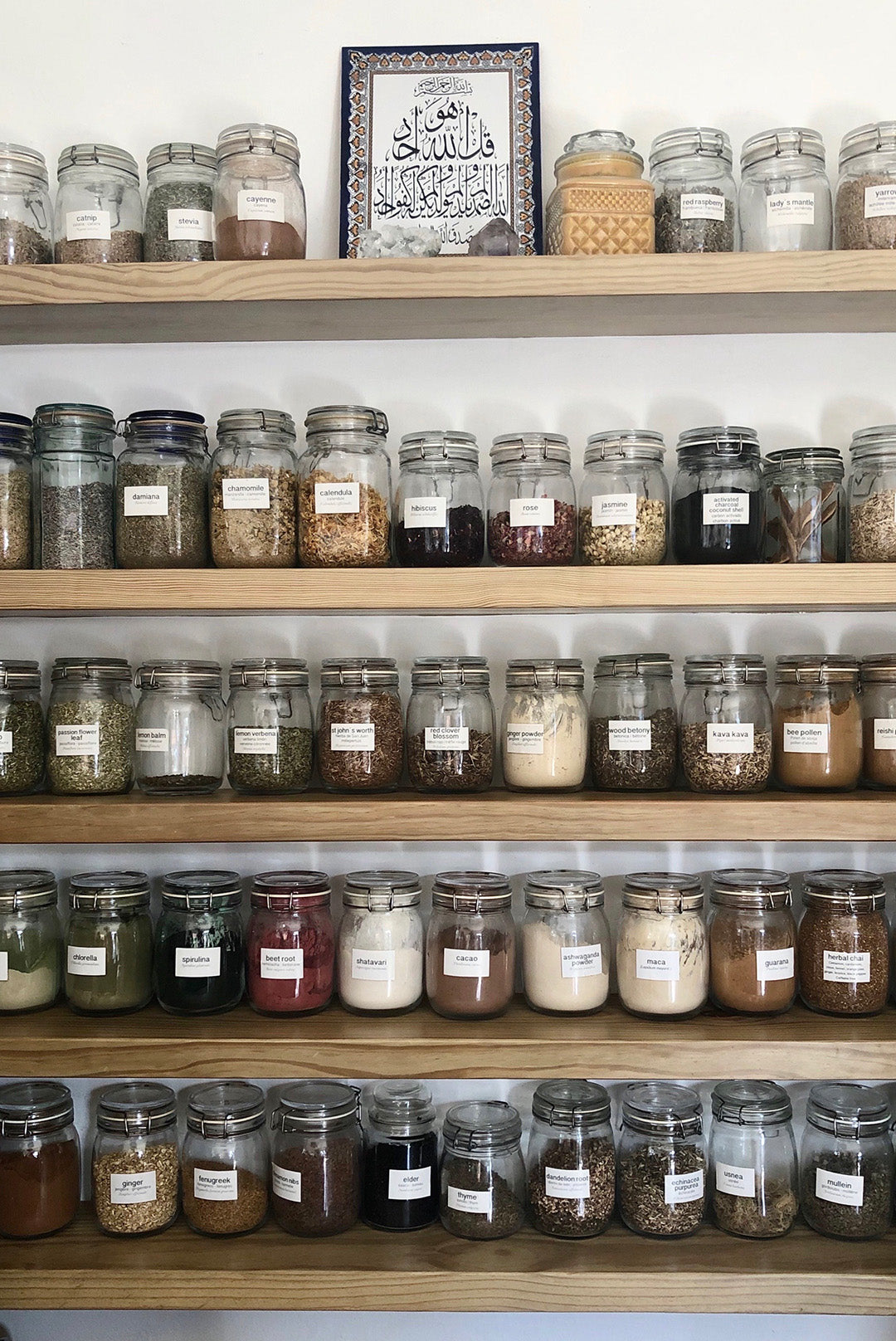 adaptogens for stress